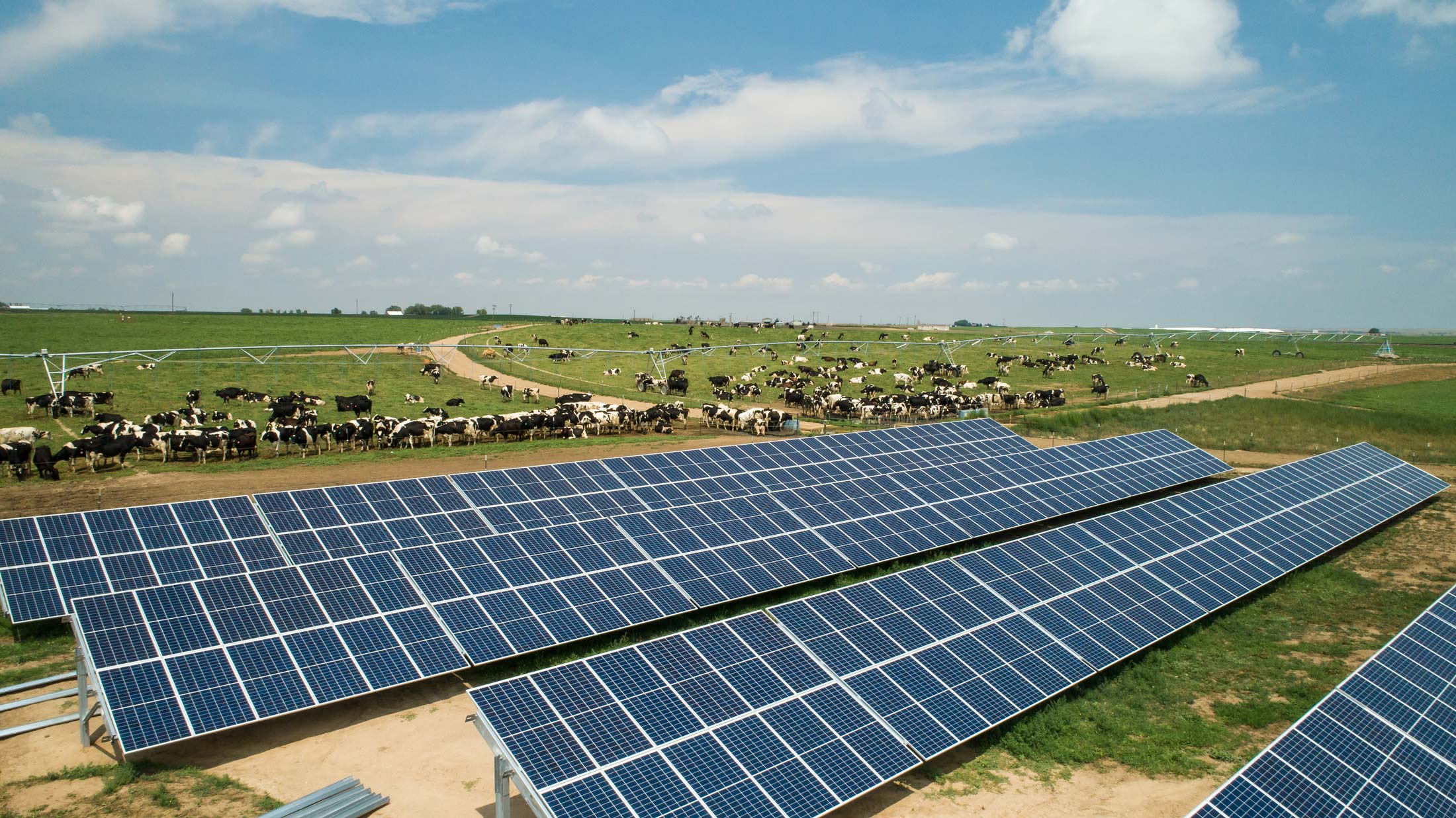 Solar Arrays In Gill, Colorado 